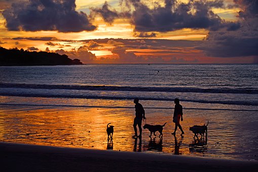 Sojourn in Bali